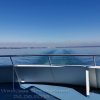 romanshorn bregenz 4_9_19_014_wookiees_brotherhood